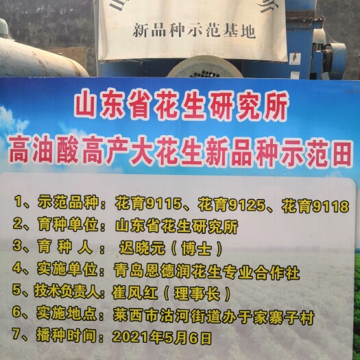 莱西市花育花生 花育系列育种示范推广基地