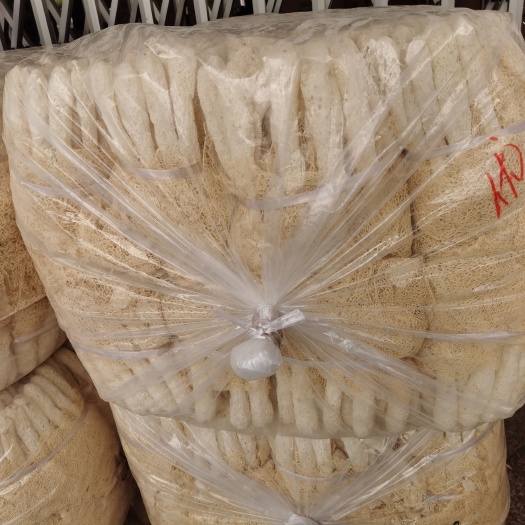 长裙竹荪 竹荪干品批发,品种繁多,规格多样,质量保证,健康