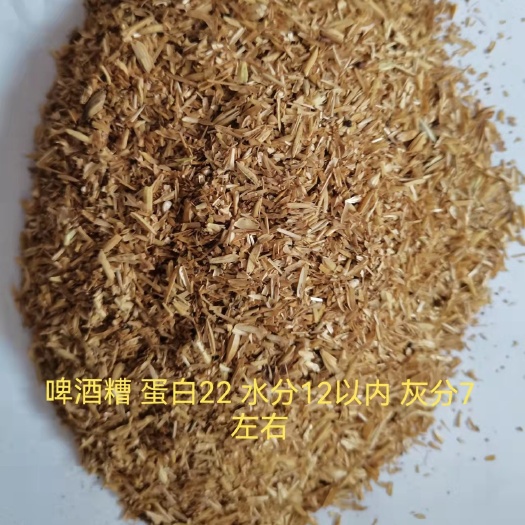 冠县啤酒糟 蛋白22 水分12 灰分7