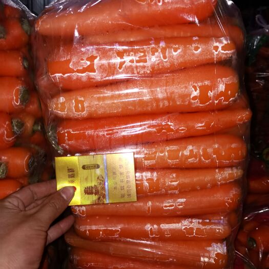 通许县三红胡萝卜 精品胡萝卜中条小条