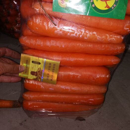 通许县三红胡萝卜 精品胡萝卜