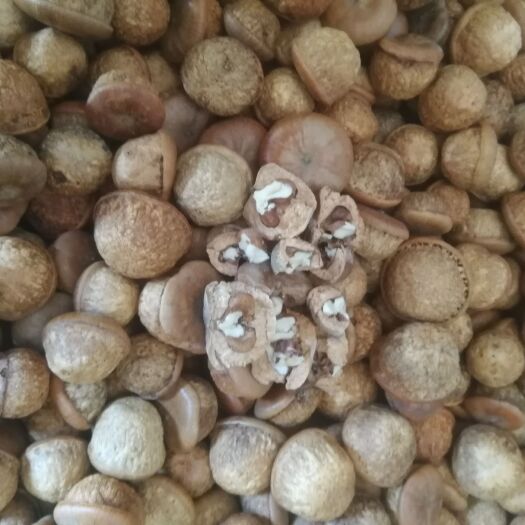 玉林 风流果产地批发，优质货源，量大从优，欢迎下单