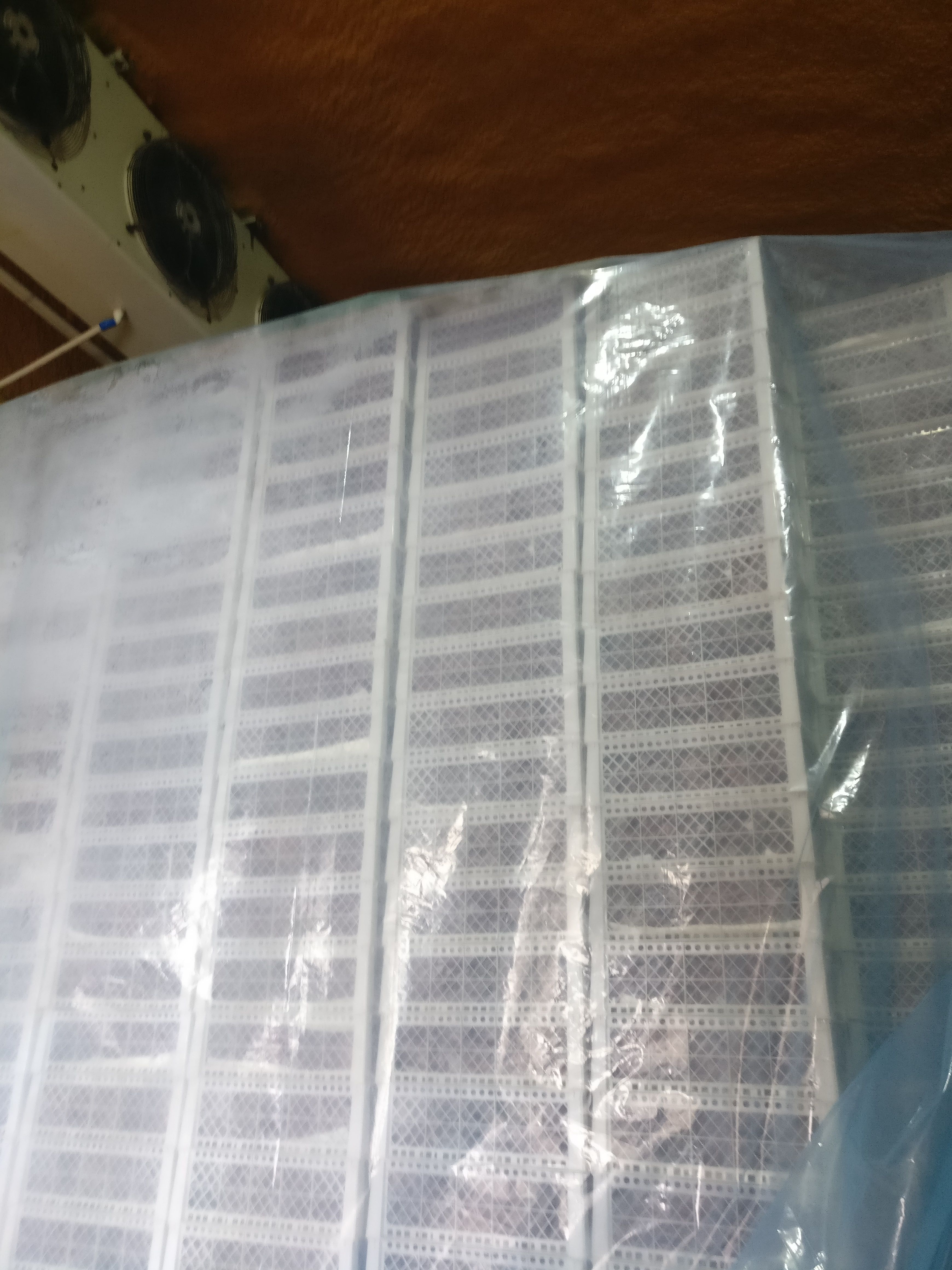 红提 果大，色艳，质量杠杠的！