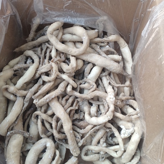 隆尧县全熟羊肠  都可快递发样品