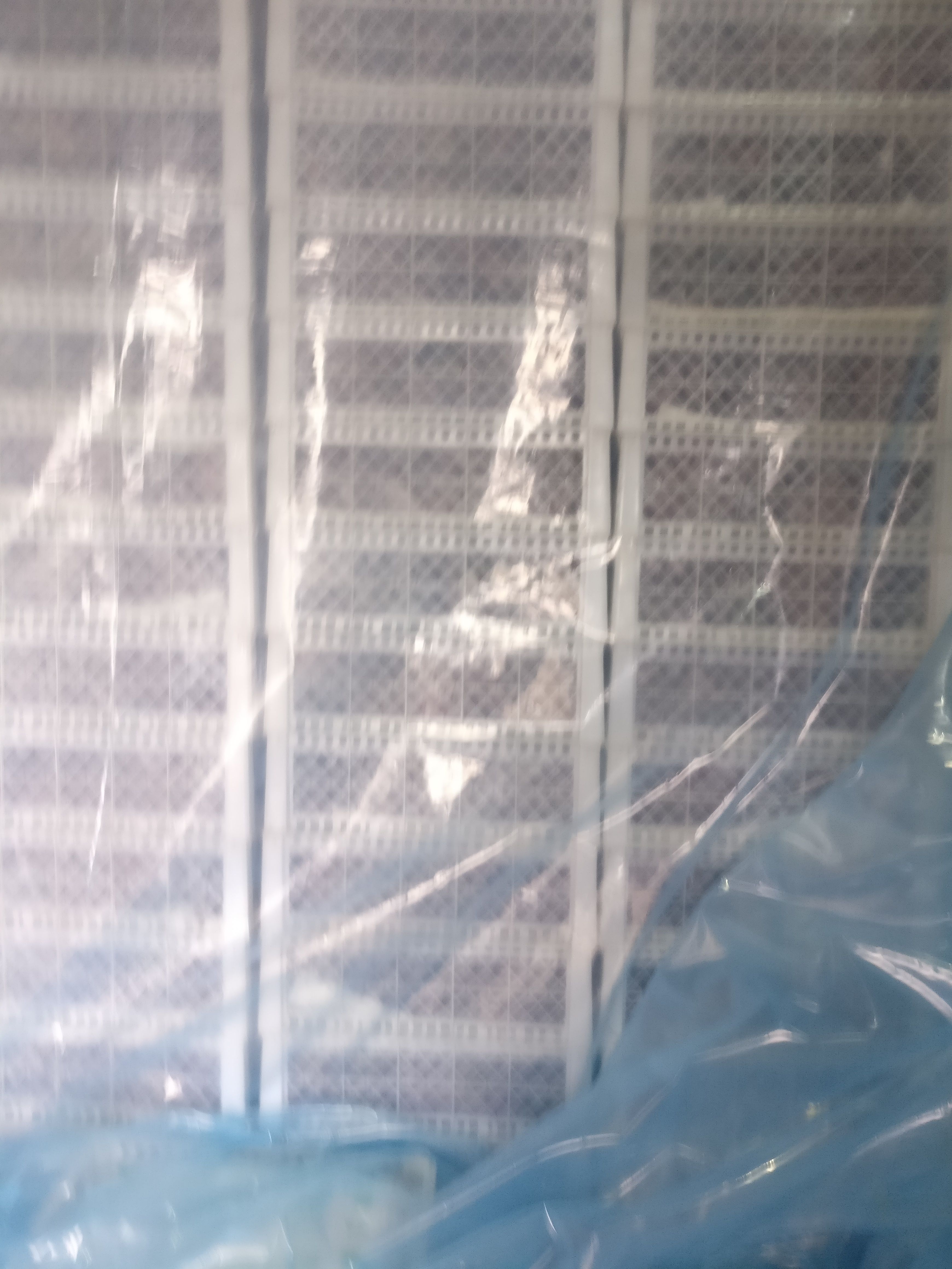 红提 果大，色艳，质量杠杠的！
