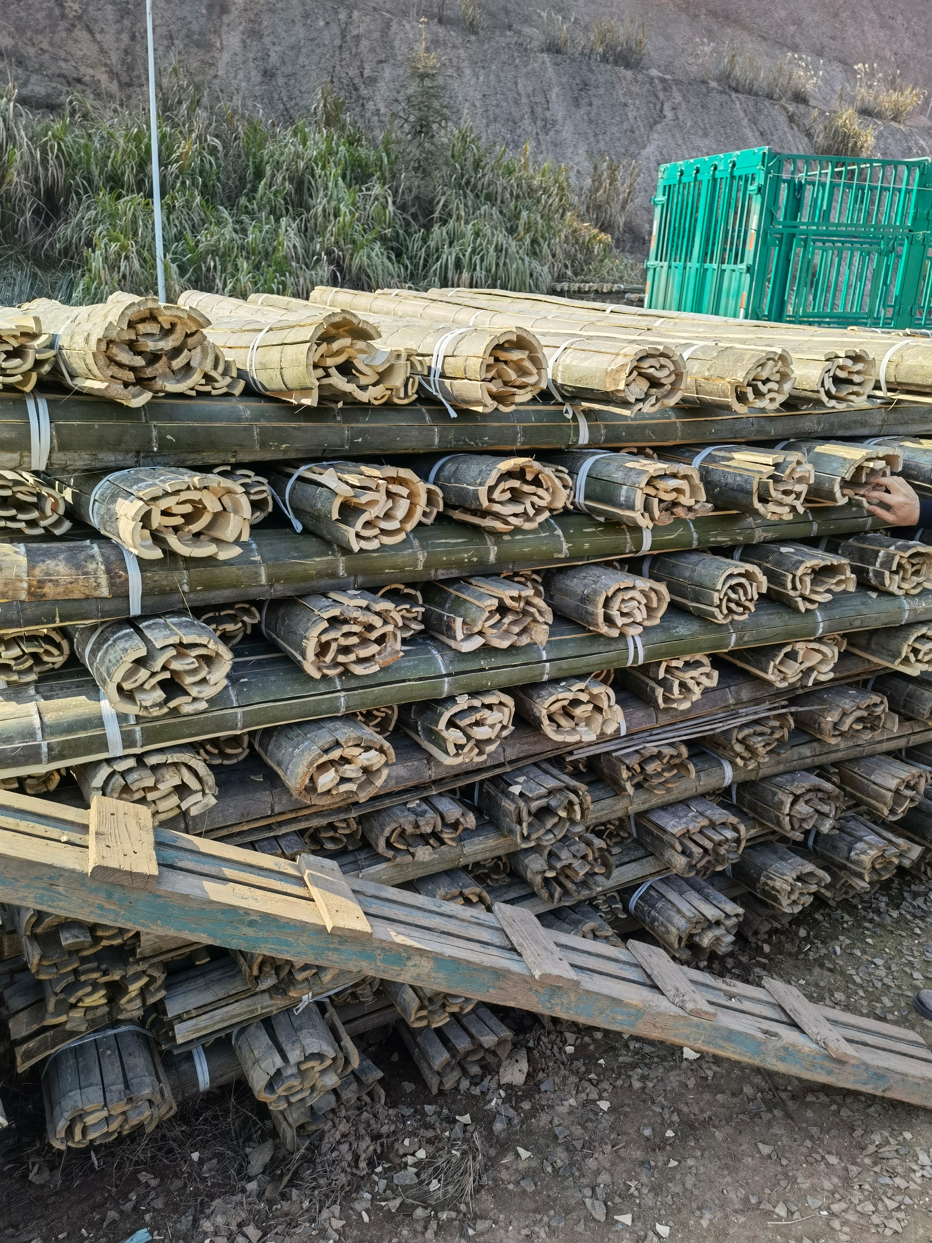 竹片1米至4米 规格齐全 支持定制。