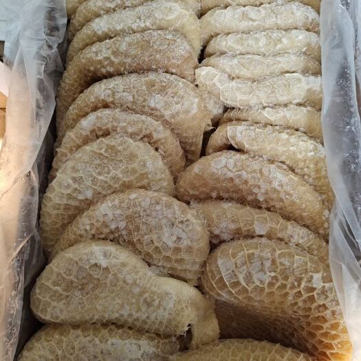 牛肚 金钱肚