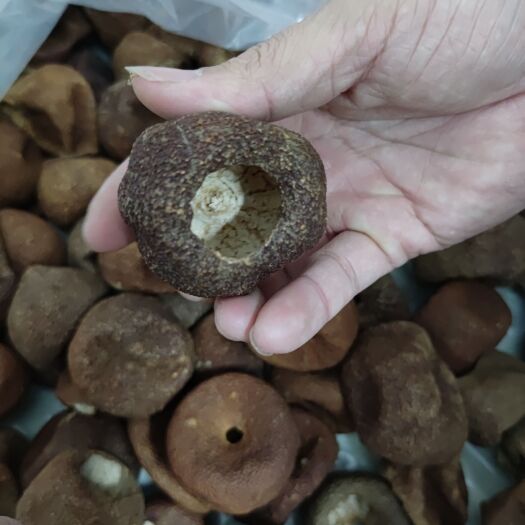 平南县陈皮 18年大红柑茶壳
