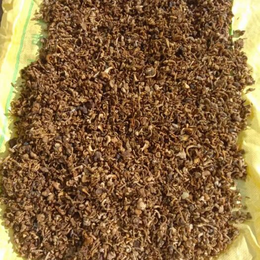 长岭县蘑菇  东北纯野生草蘑