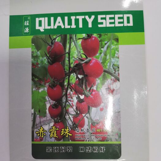  赤霞珠樱桃番茄种子