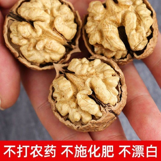 涉县山核桃[24年新货]农家自制混合山核桃 果肉饱满 货好价优