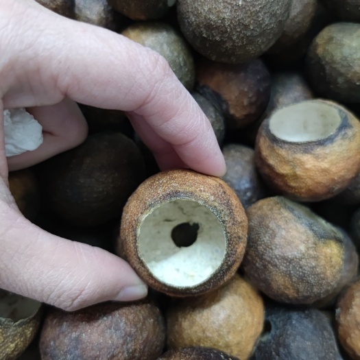平南县陈皮 19年小青柑茶壳
