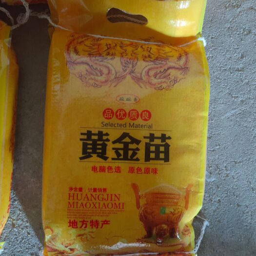 隆尧县小米 各种规格