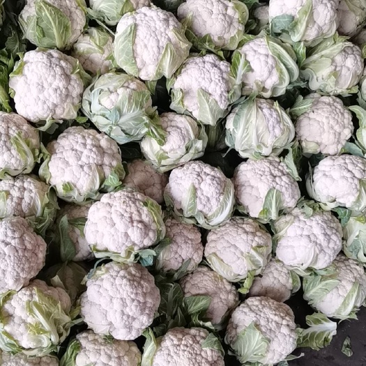 广汉市花菜 精品菜花