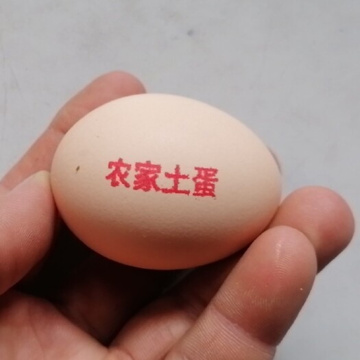  跑山鸡生态养殖，美味又健康