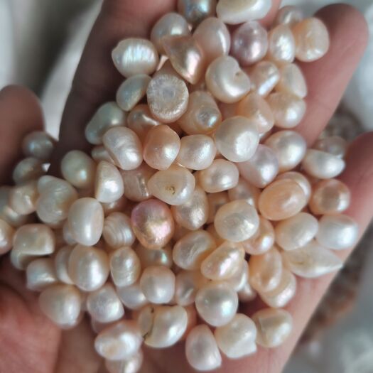 中药材珍珠 正品规格齐全无硫原色 破壁粉一斤包邮