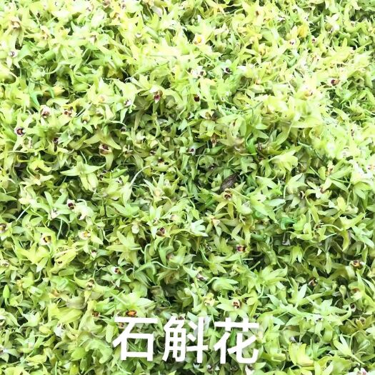 杭州新鲜石斛花 一年四季不断货  现货现发
