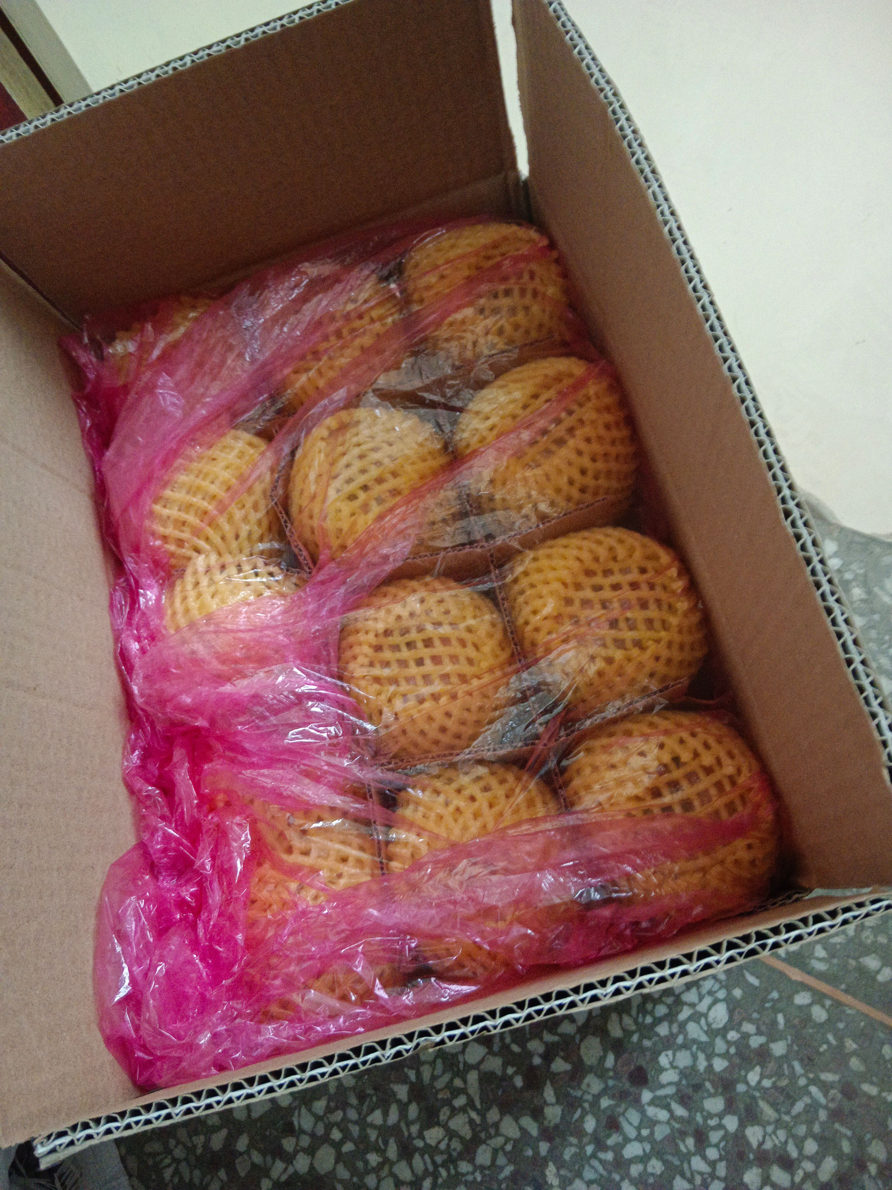 大量供应山西运城万荣临猗，黄土高坡红富士苹果