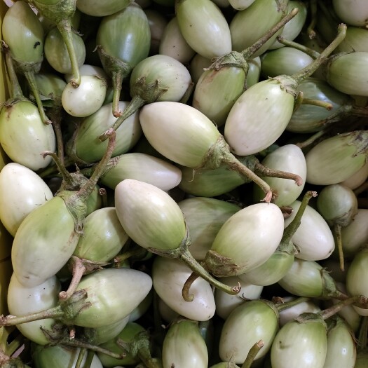 昆明白茄子 泰国小柠檬小圆茄泰料批发