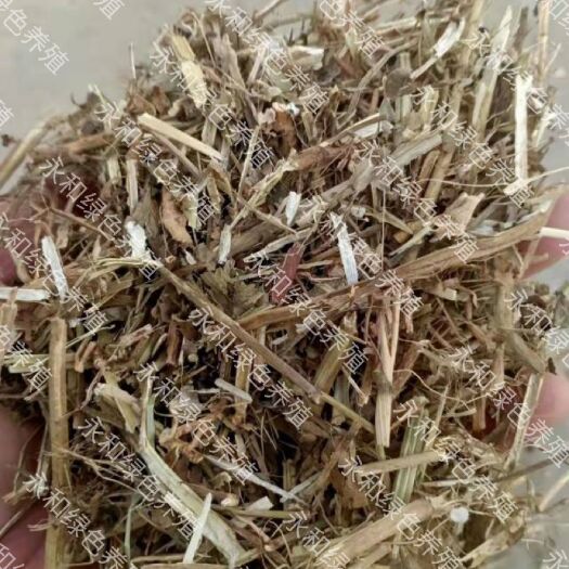 石家庄 优质花生秧