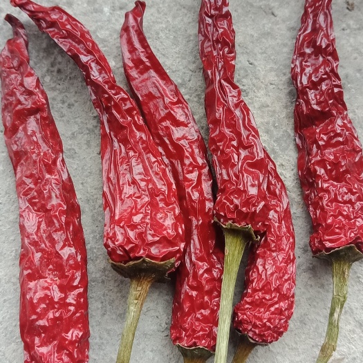 镇远县干线椒    龙脊干辣椒