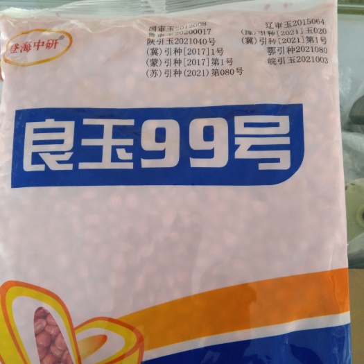 夏邑县郑源玉432    玉米种子，东单1331玉米种子，耐密，矮