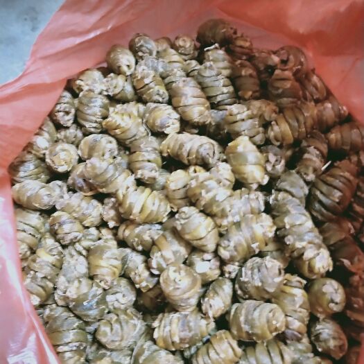 龙陵县石斛枫斗，珍虫石斛枫斗