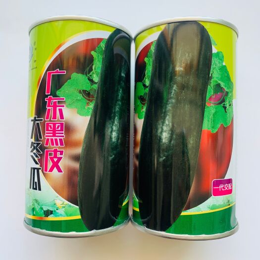 沭阳县冬瓜种子黑皮冬瓜种子包邮新种子原装正品高产抗病杂交种子