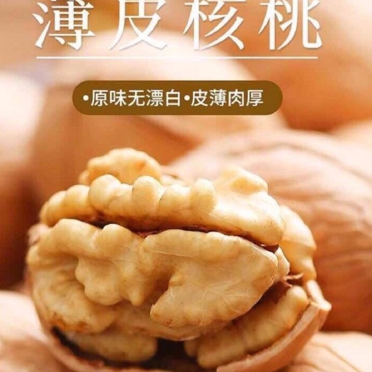成都-【2022新货】新疆薄皮核桃干果坚果好核桃多规格货