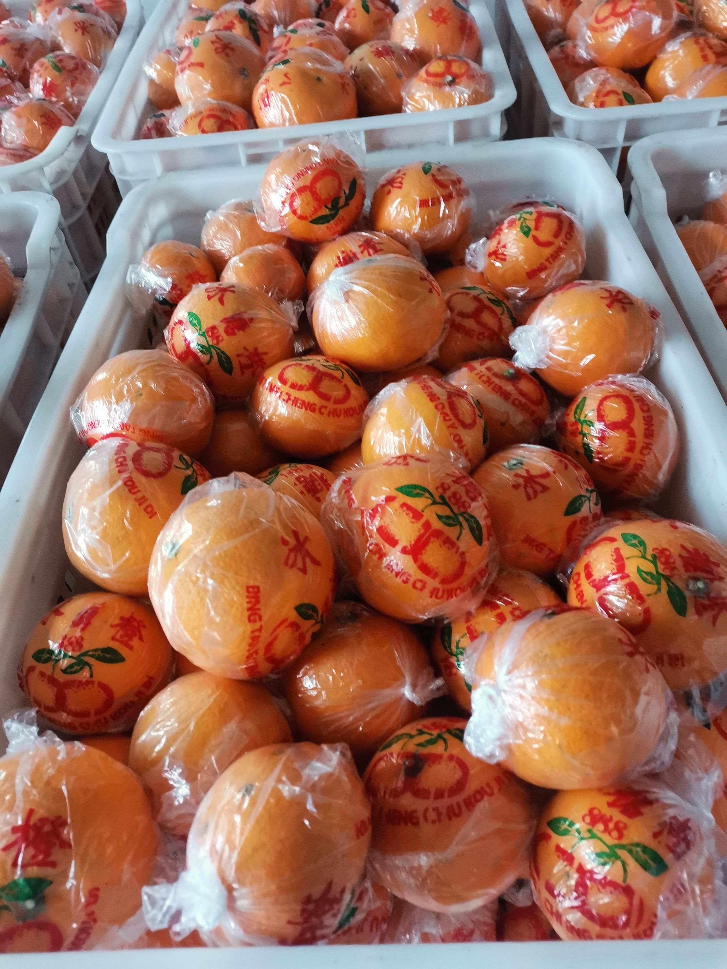 麻阳富硒冰糖橙包装果，产地直发，诚信代办，对接电商批发商