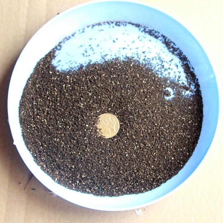  金鱼草种子 四季易种花卉阳台庭院种植 盆栽室内花草植物花籽