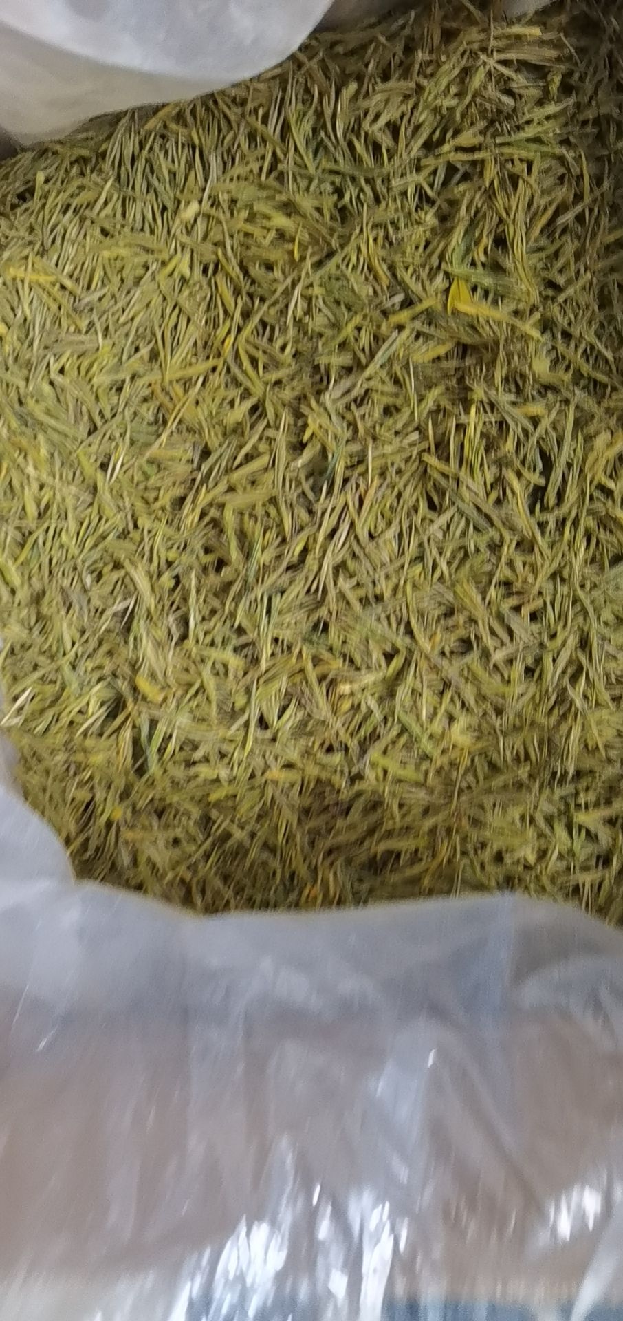 新白茶 需要图片中的货可咨询