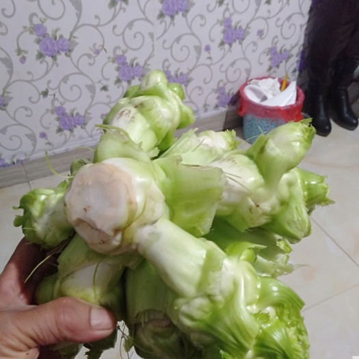 简阳市 儿菜榨菜木奉菜