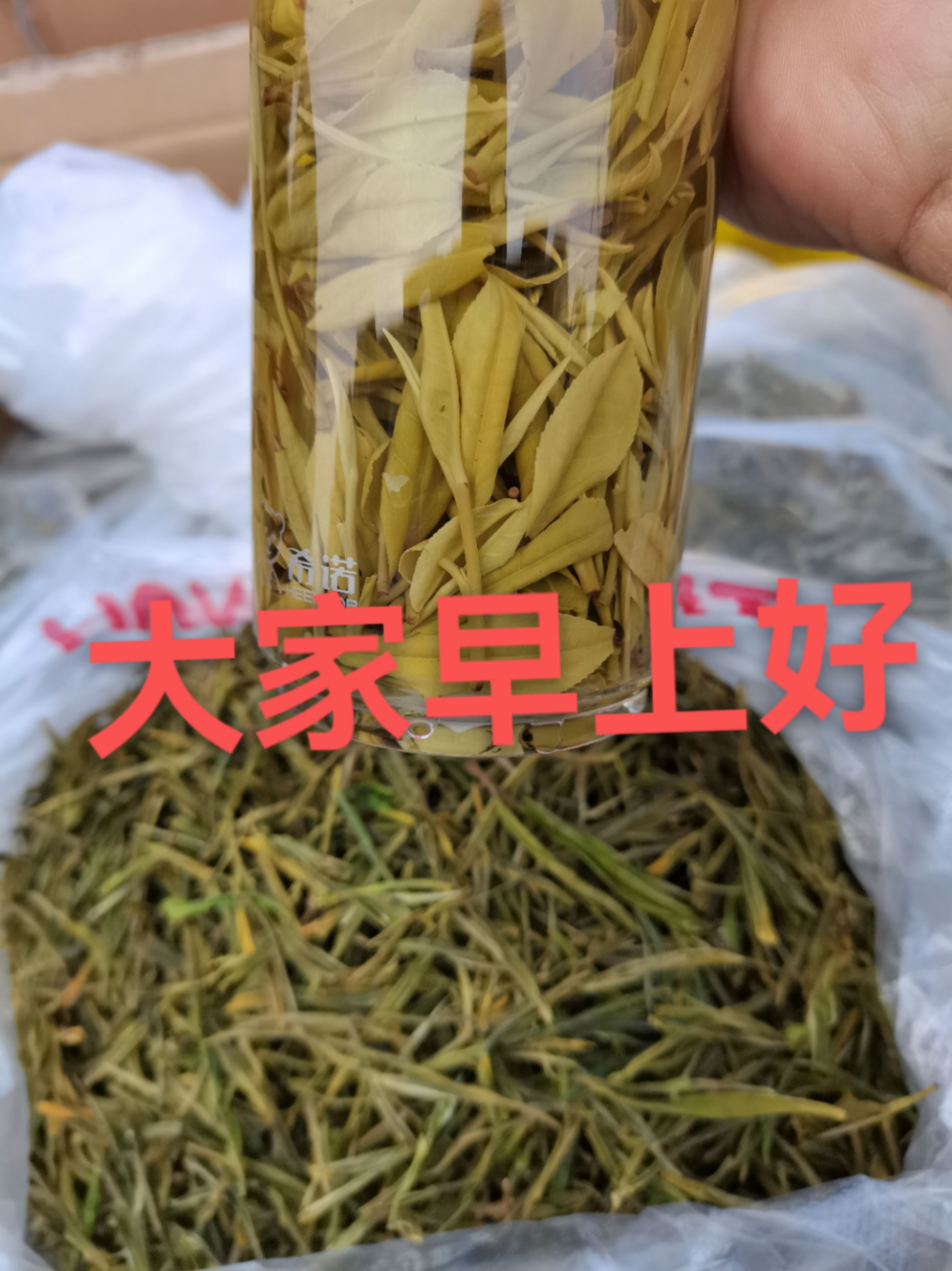 新白茶 需要图片中的货可咨询