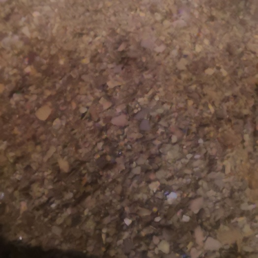 宝鸡油渣 鸡 鸭 鹅 猪 牛 羊 马 兔 鸽子 鱼 虾  鹌鹑
