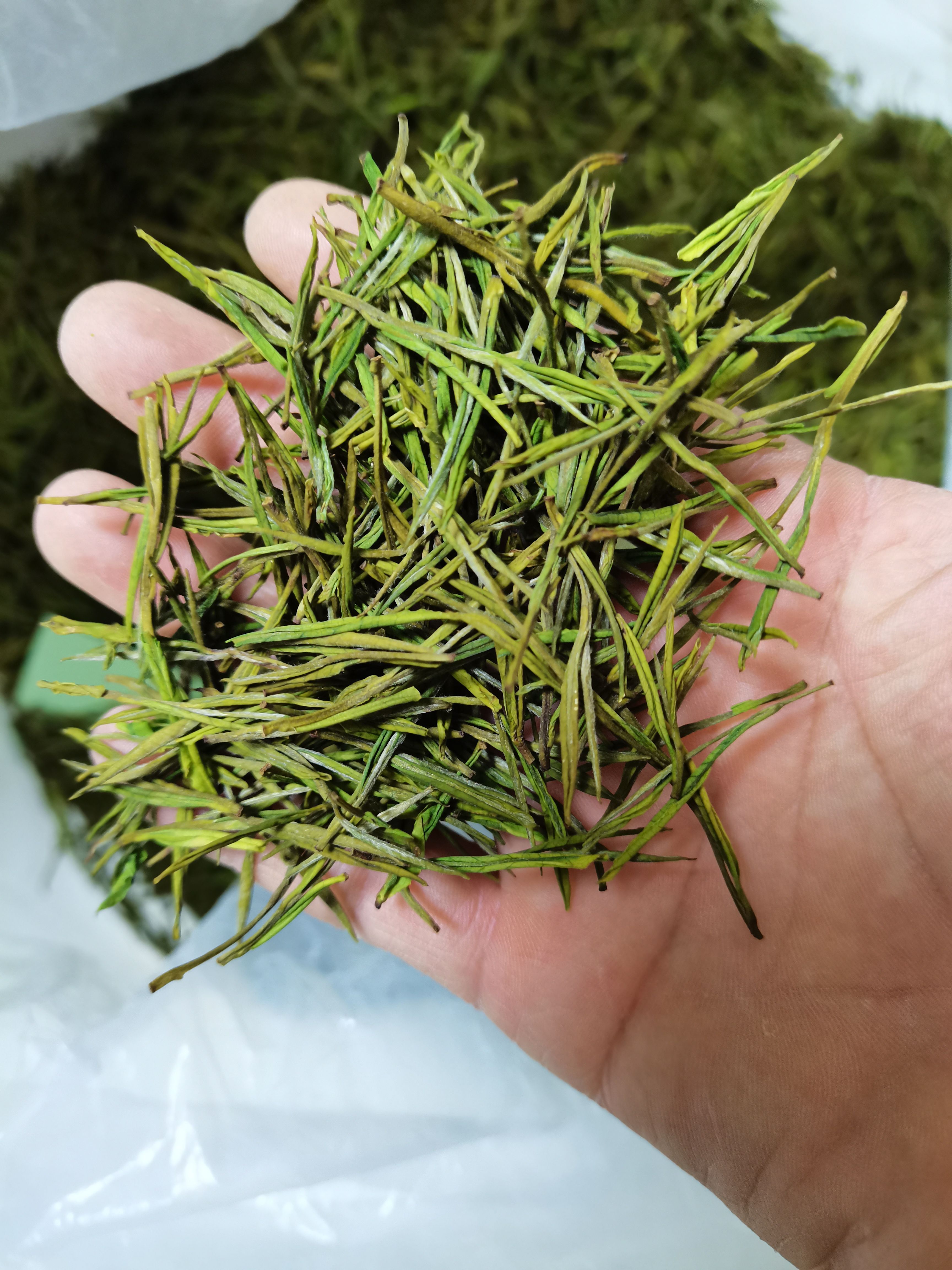 新白茶 需要图片中的货可咨询