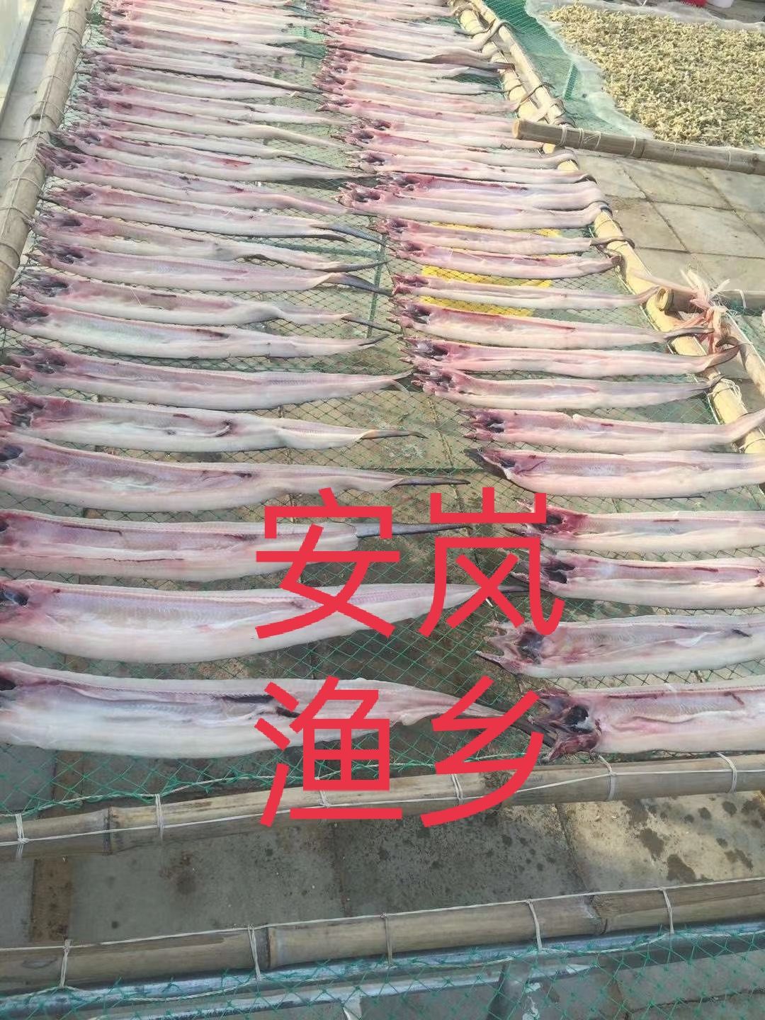 日照鱼干 山东特产甜晒鳗鱼干日照盐干鳗鱼干盐干鳗鱼干批发