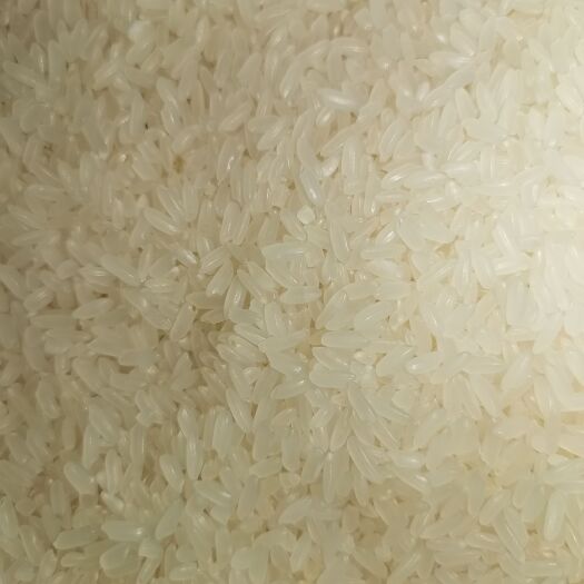 东北小町米吉林超级稻珍珠米长粒香米稻花香米批发