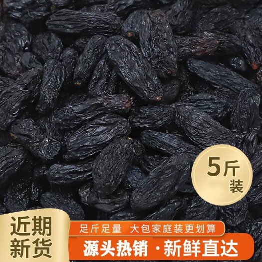 涉县黑加仑葡萄干新疆特产黑加仑无籽黑提子干  吐鲁番市新货