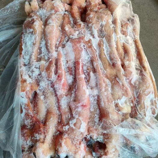 鲜驴肉  驴蹄筋  驴蹄筋  纯主筋   颜色鲜  质量