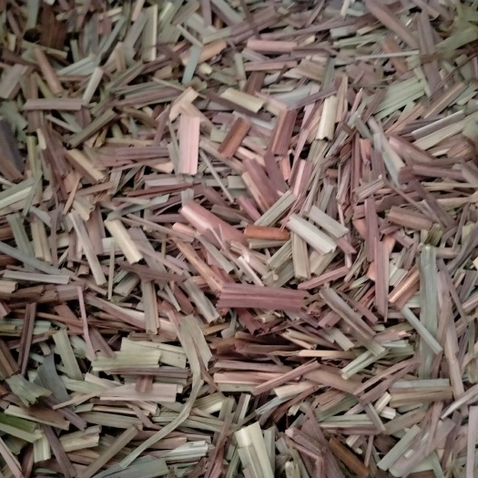 无棣县香茅草