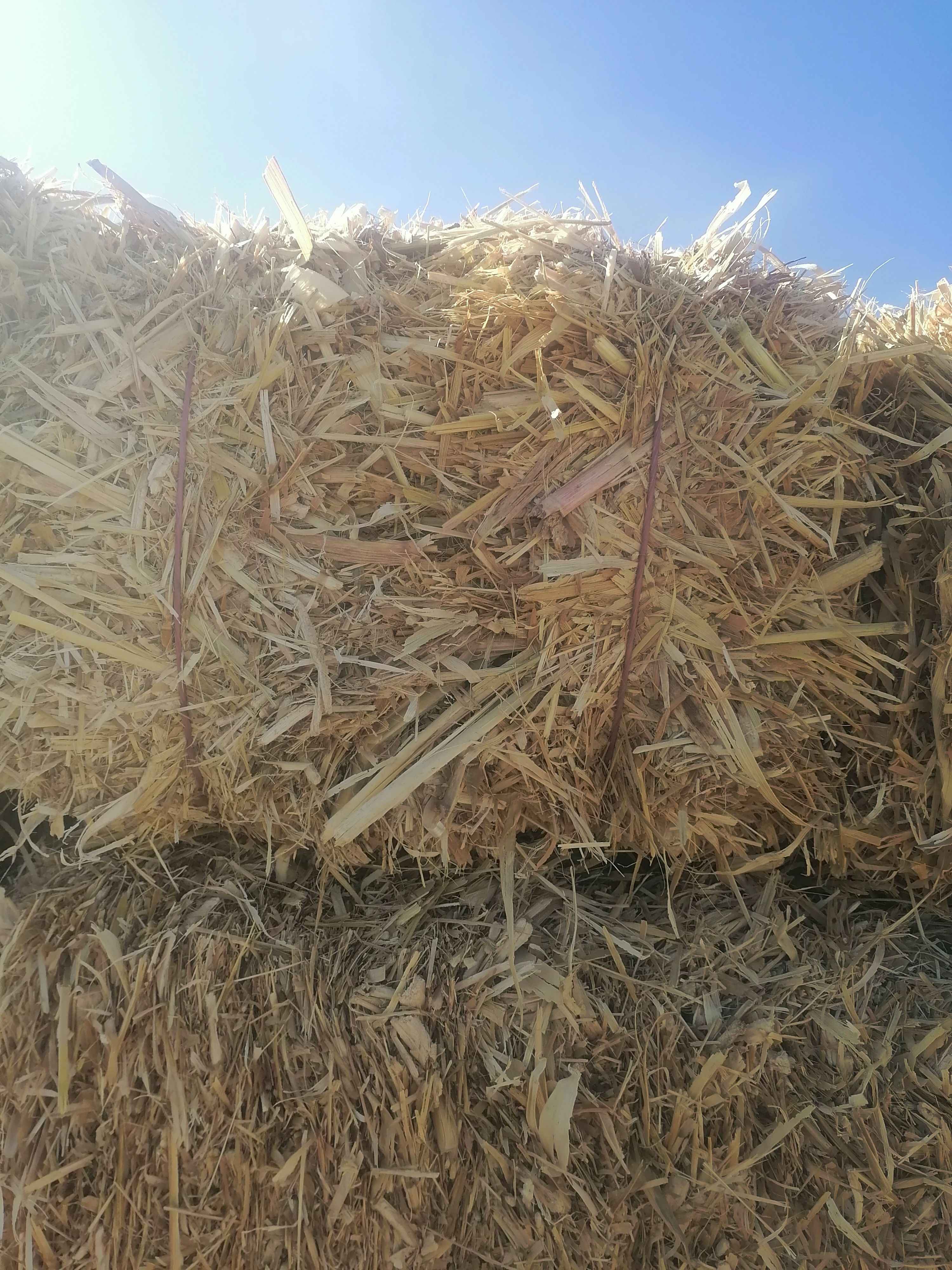  单破碎玉米秸秆