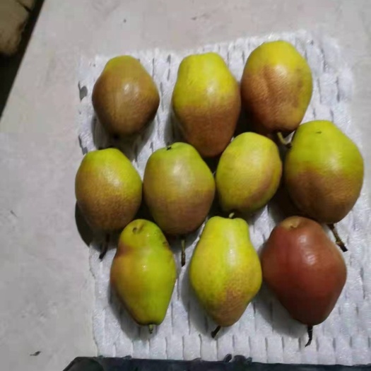 广宗县红香酥梨，口感甜。颜色好，质量好
