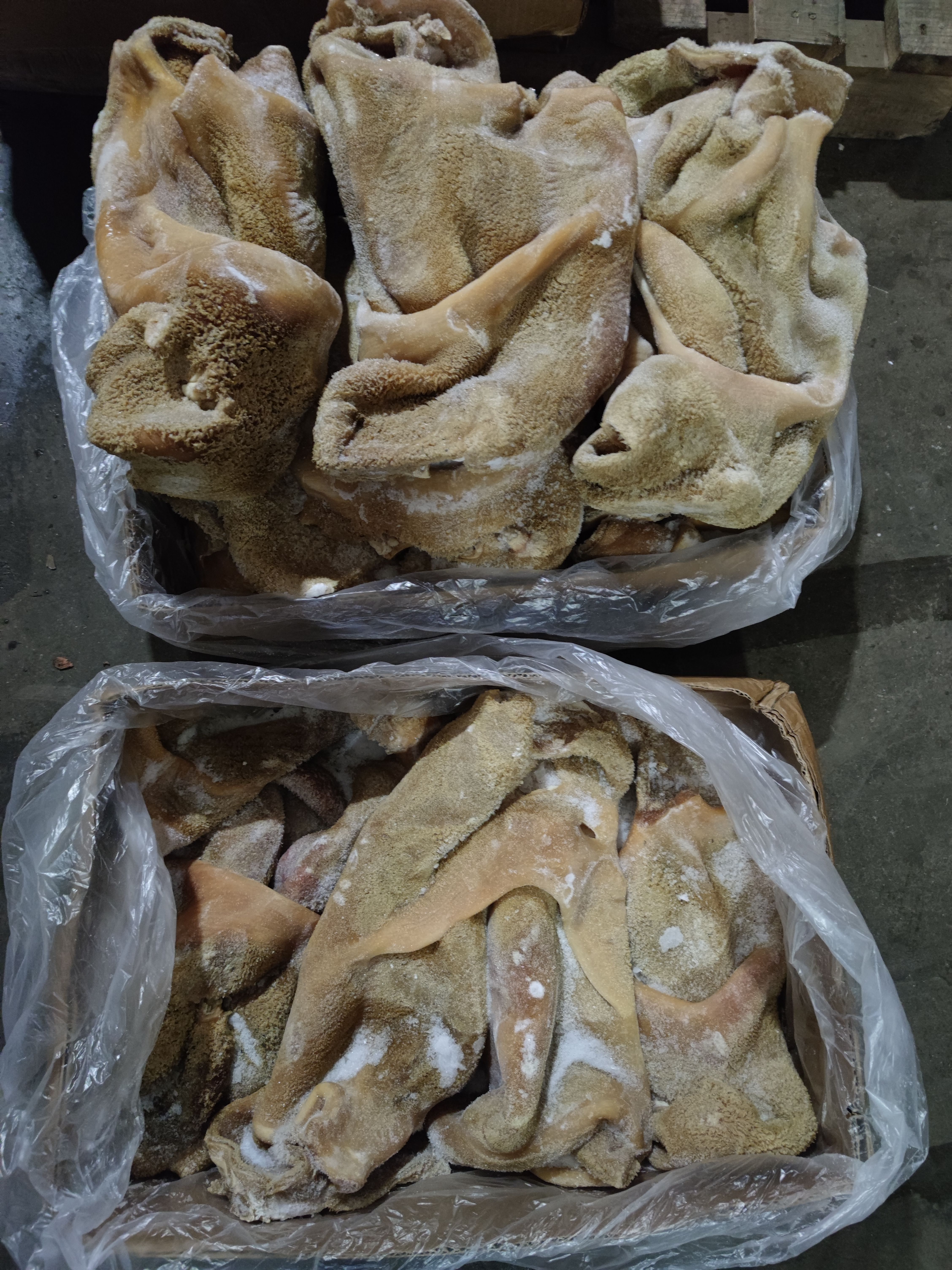  4238牛肚，熟度好，没油没冰水，一斤出一斤！