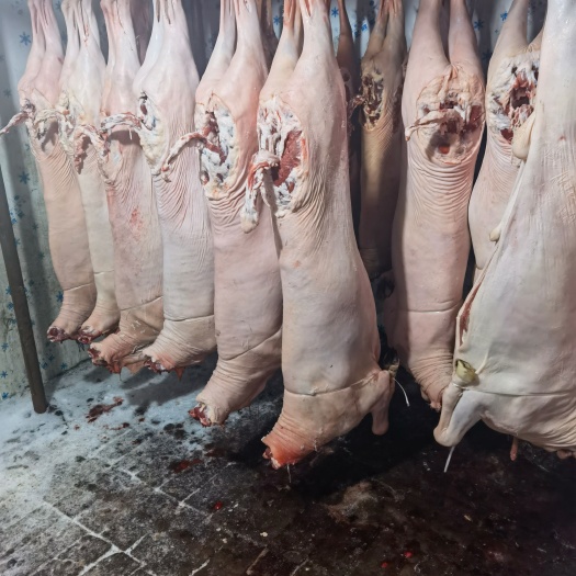 羊肉 带皮羊