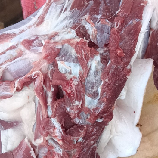 威宁县 正宗黑山羊肉   现宰现发