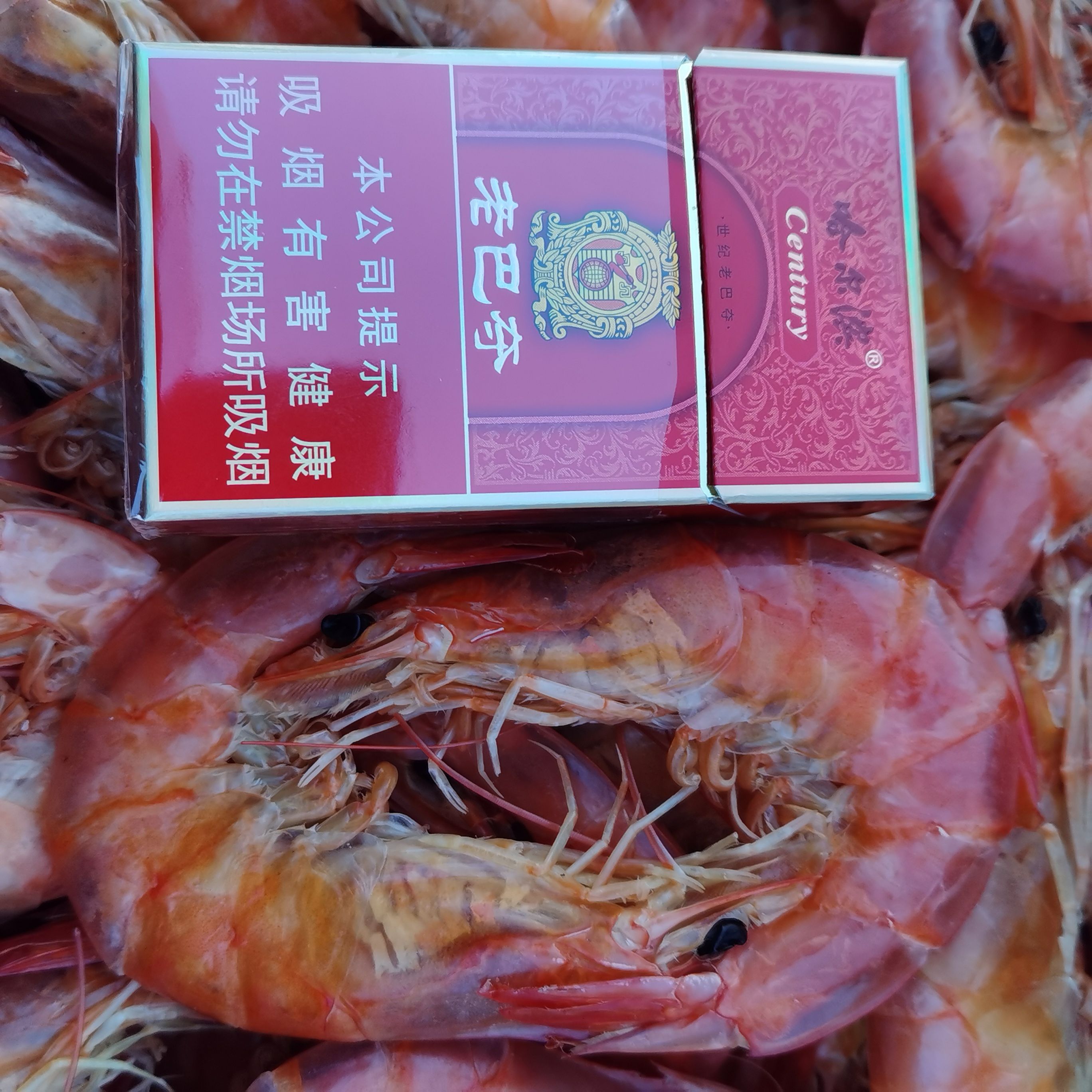 沙虾 烤干海水大对虾，一手货源，欢迎选购