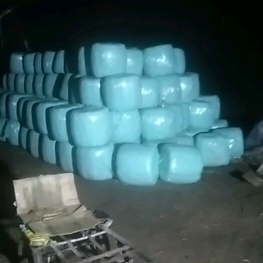 开封 玉米秸秆黄储