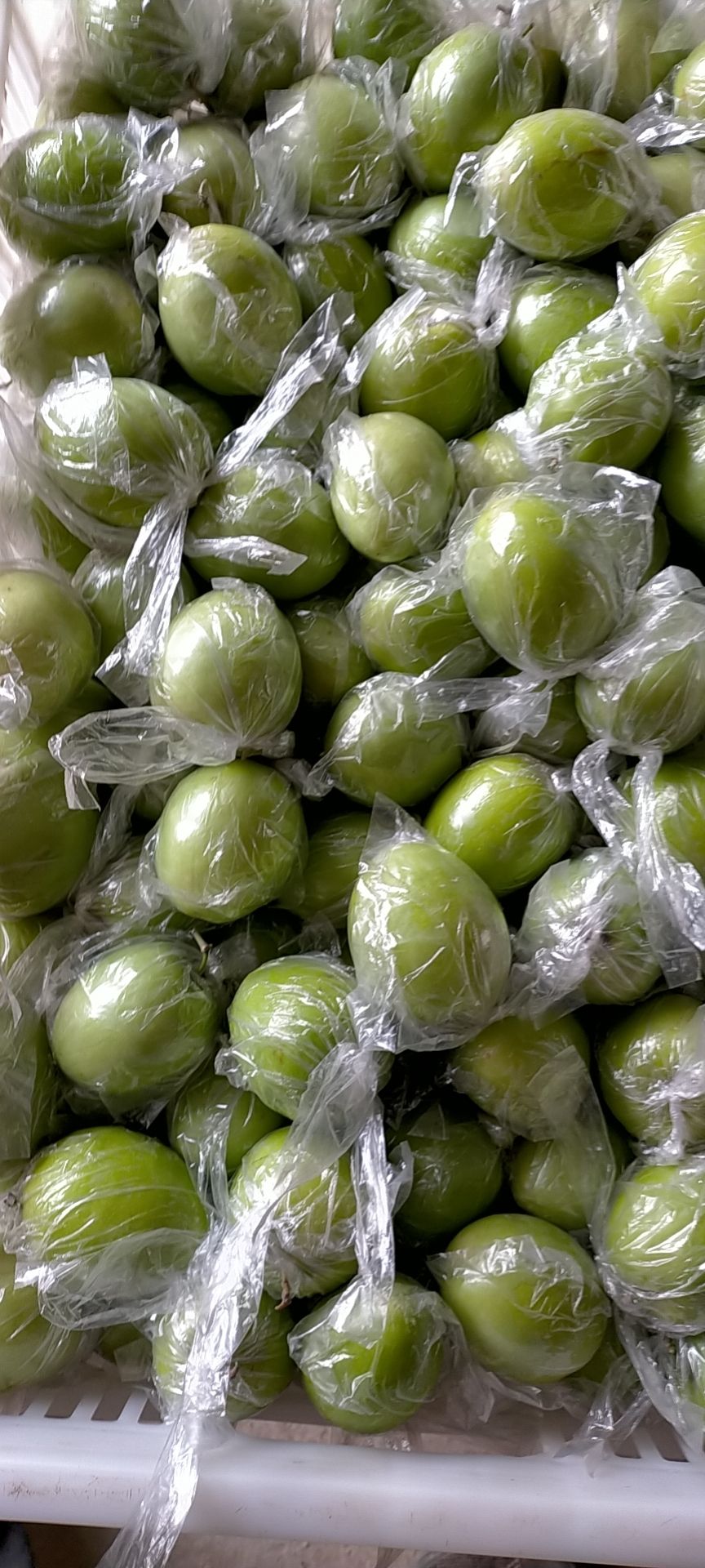 广西壮族自治区贵港市平南县大青枣大量上市，口感清甜，爽口