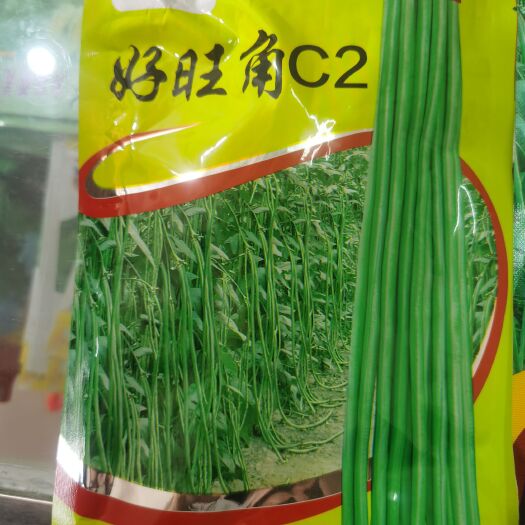 南靖县豆角种子  好旺角C2适合南方地区早春晚秋具有一定的耐寒性。